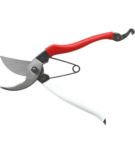 Amazon.com : 217 Okatsune 7744ai Trimming Shears, Type 60, Short